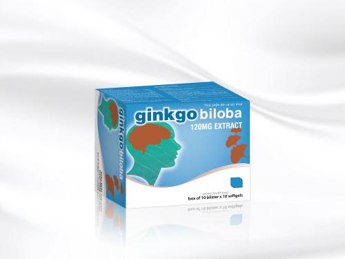 GINKGO BILOBA 120mg
